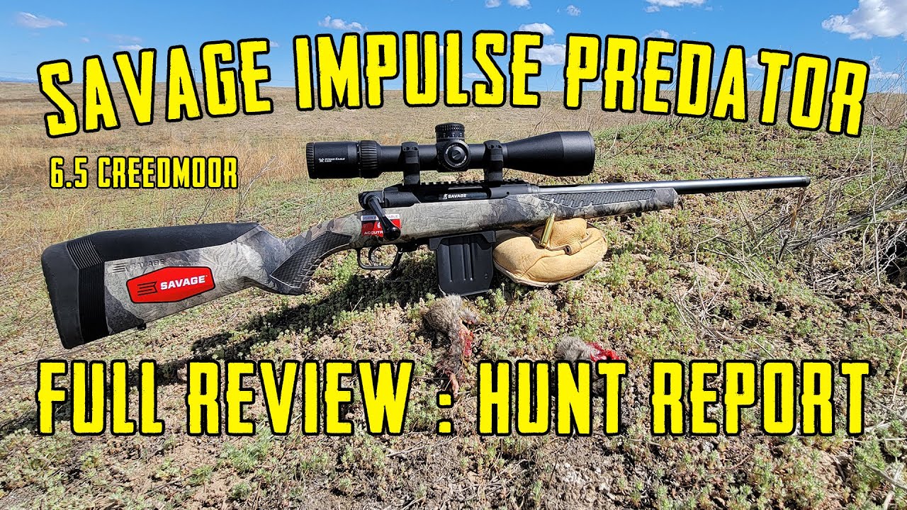 Обзор Savage Arms Impulse Predator 6.5 Creedmoor с отчётом о дальности и охоте