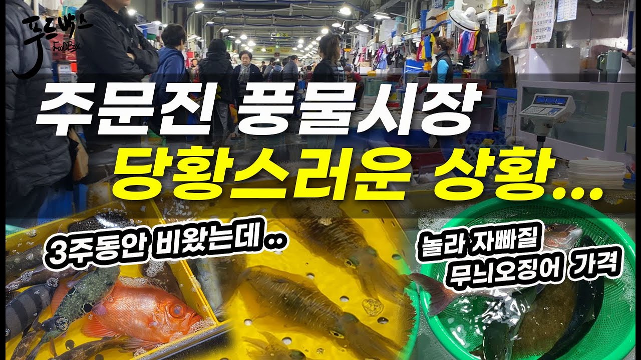 이런건 처음 겪는 상황..수없이 다녀본 주문진풍물시장.. 하지만 반전은