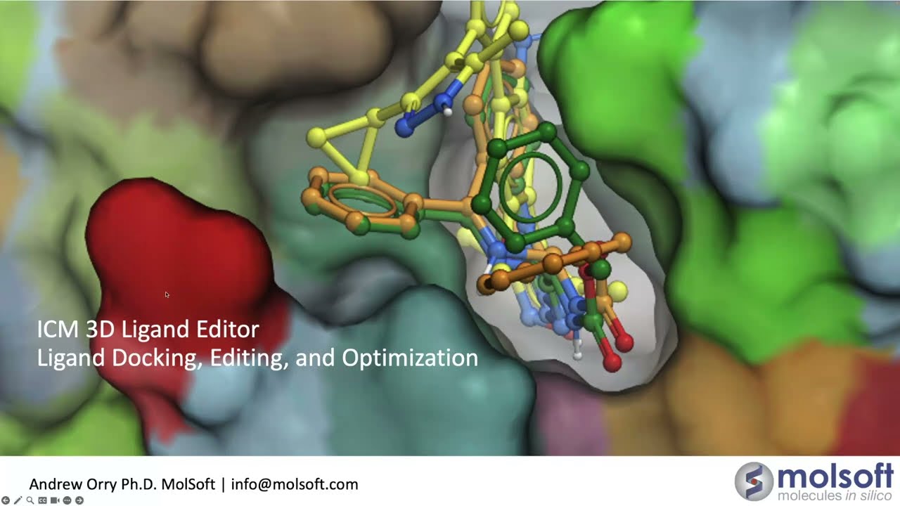 ICM 3D Ligand Editor Webinar - Ligand Docking, Editing and Optimization