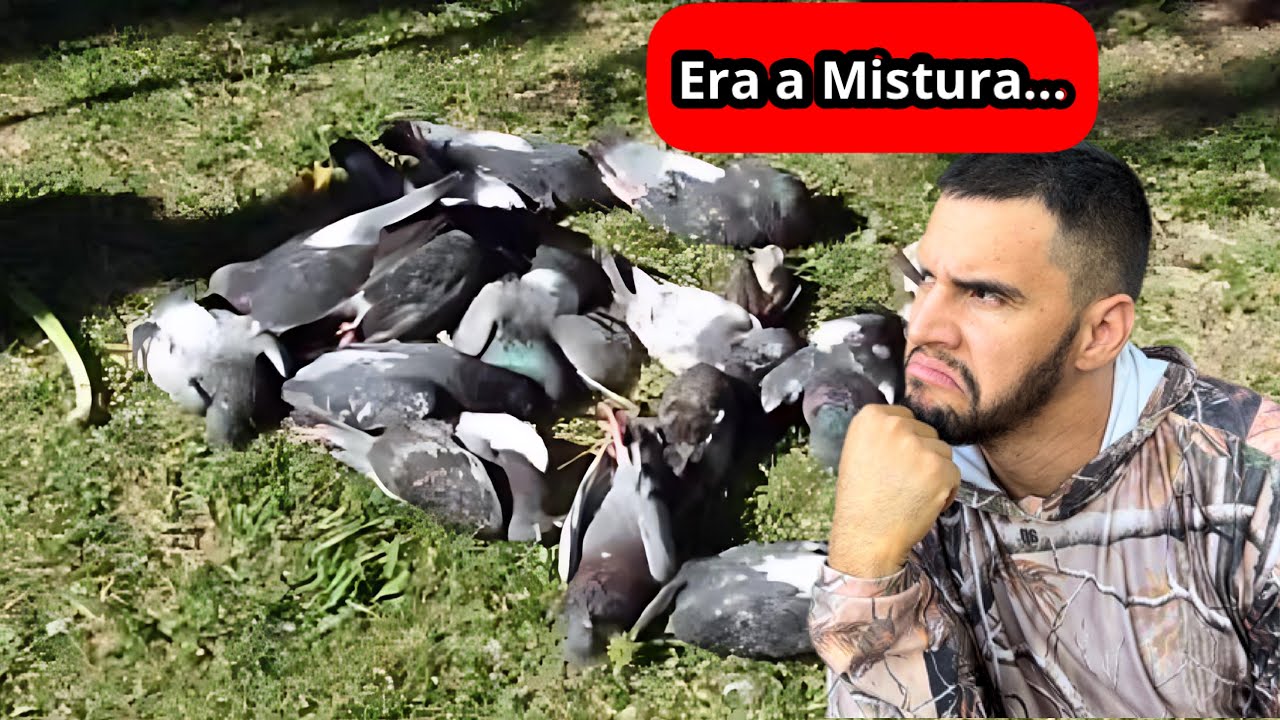 Polícia me pegou com 4 pomba🥲