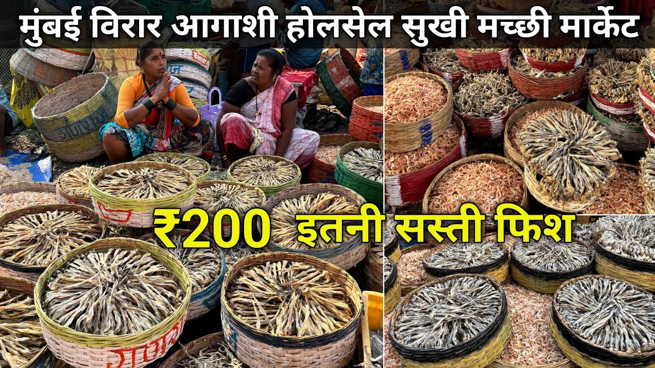Mumbai Virar Dry Fish Market | Dry Fish Market | Virar Dry Fish Market | Dry Fish Market In Mumbai