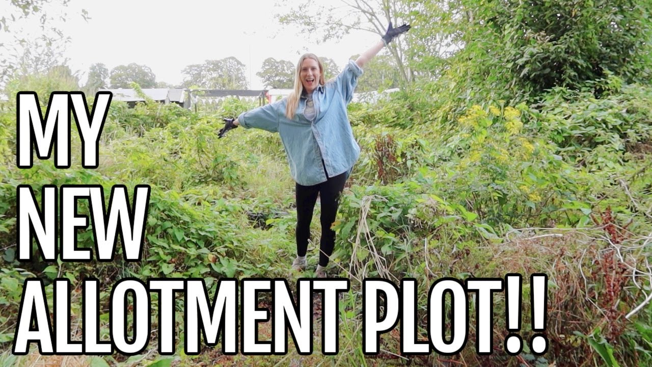 MY NEW ALLOTMENT PLOT! / ALLOTMENT GARDENING FOR BEGINNERS