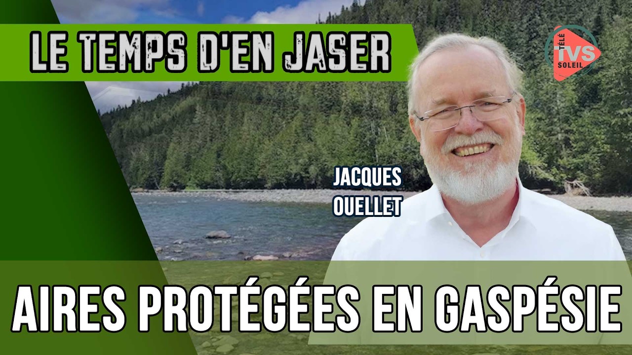 Aires protégées en Gaspésie : Solidarité Gaspésie s'inquiète d'un processus pressé par le temps