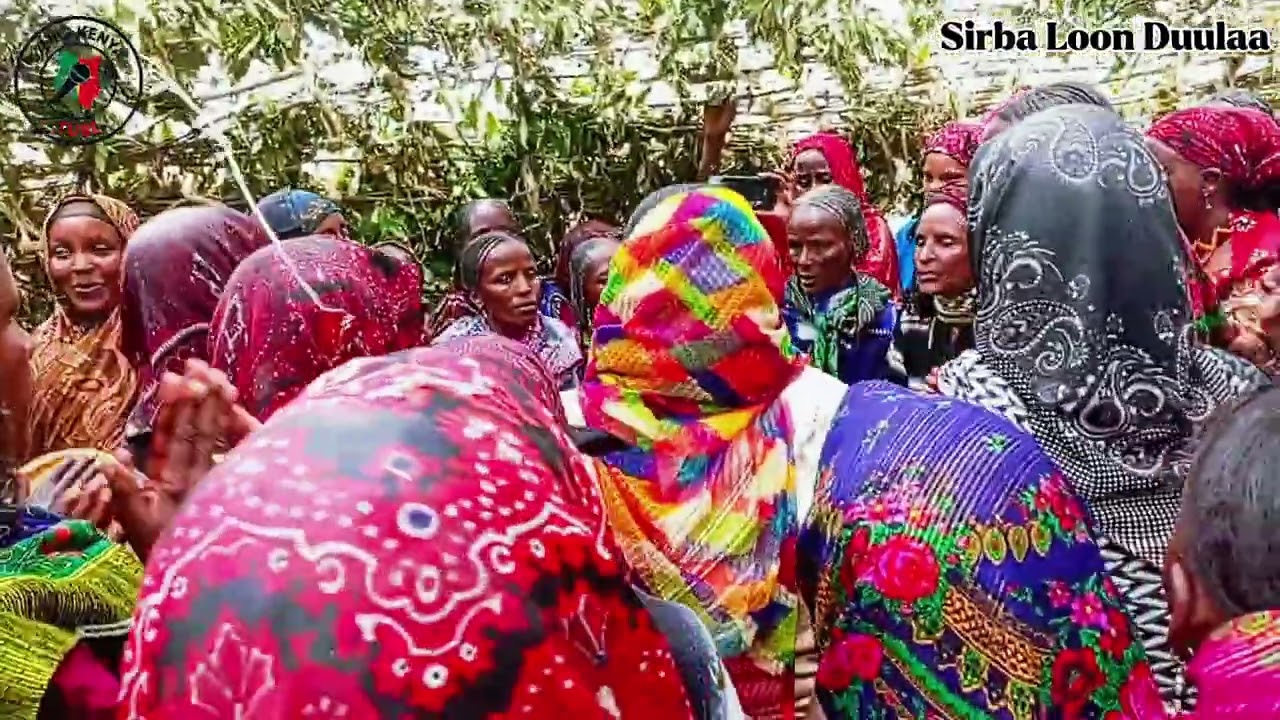 Sirba Loon Duulaa - Sirba Aadaa Oromoo Booranaa 🎤🎧🎤
