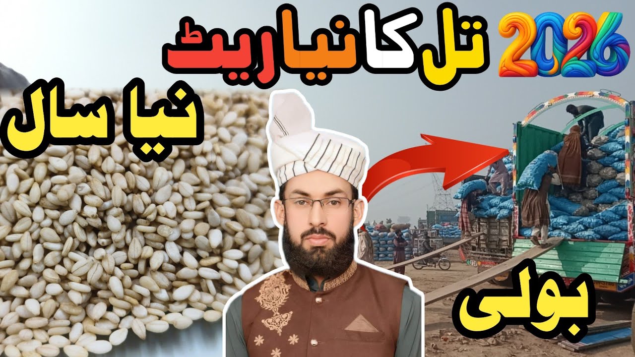 Happy New Year | Sesame seed rate 2026 | Till rate today 2026 | International Market Update