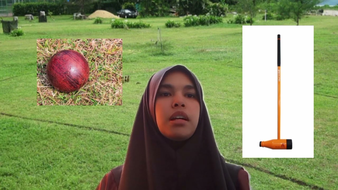 Video Reflection Woodball ULRF 2812