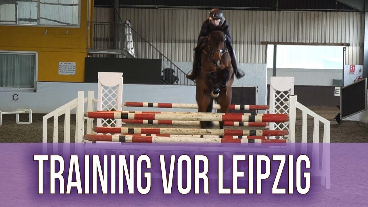 Letztes Training vor Leipzig! Bei Karl Brocks | BinieBo |