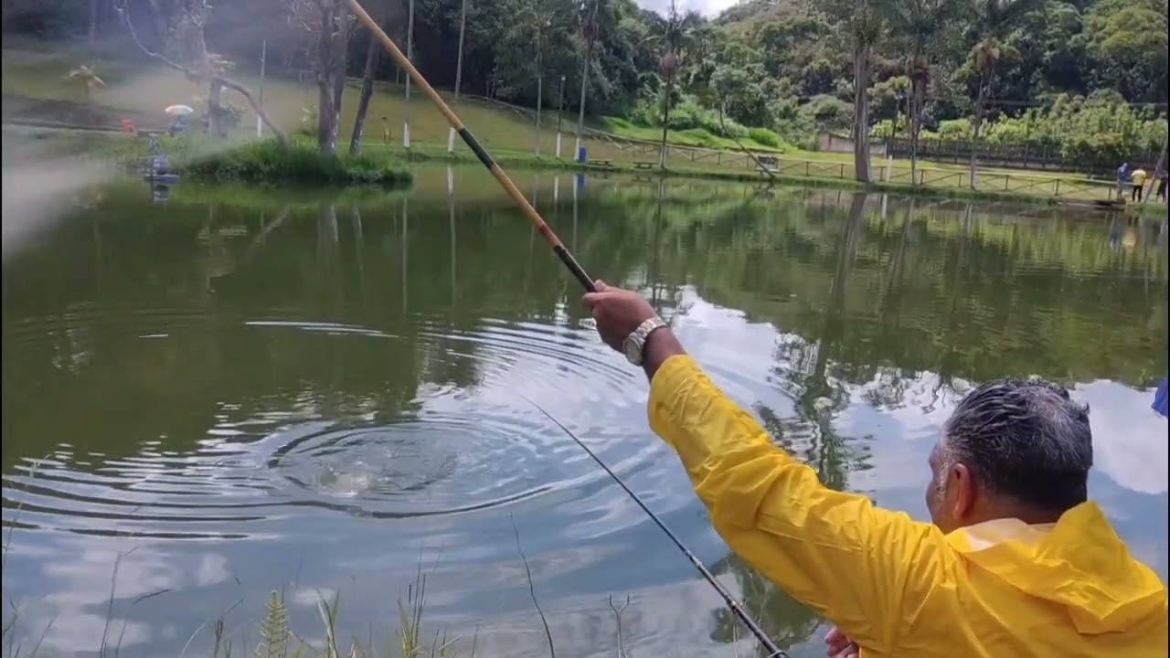 PESCARIA com muita chuva mas a persistência faz a diferença ☔🎣🐟