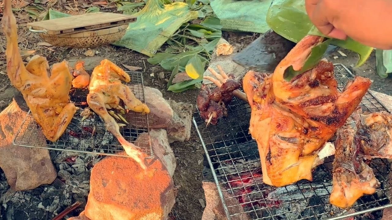 Taste the Wild – Jungle Cooking Made Simple
