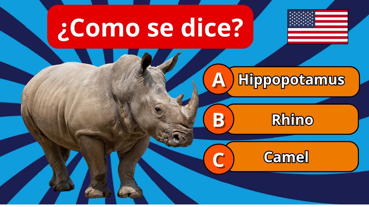 ¡APRENDE INGLÉS RÁPIDO! 🦁 Quiz de Animales en Inglés para Mejorar tu Vocabulario