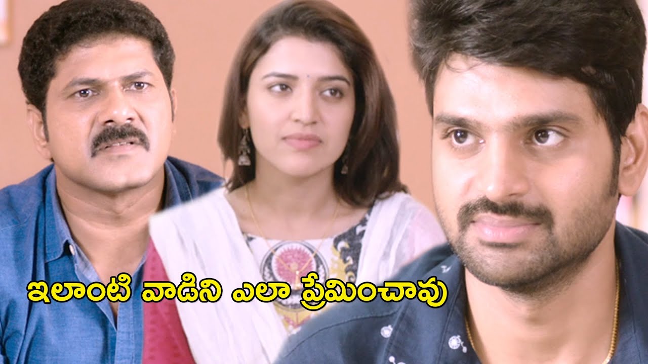 ఇలాంటి వాడిని ఎలా ప్రేమించావు | Maa Abbayi Full Movie Scenes | Sree Vishnu | Chitra Shukla
