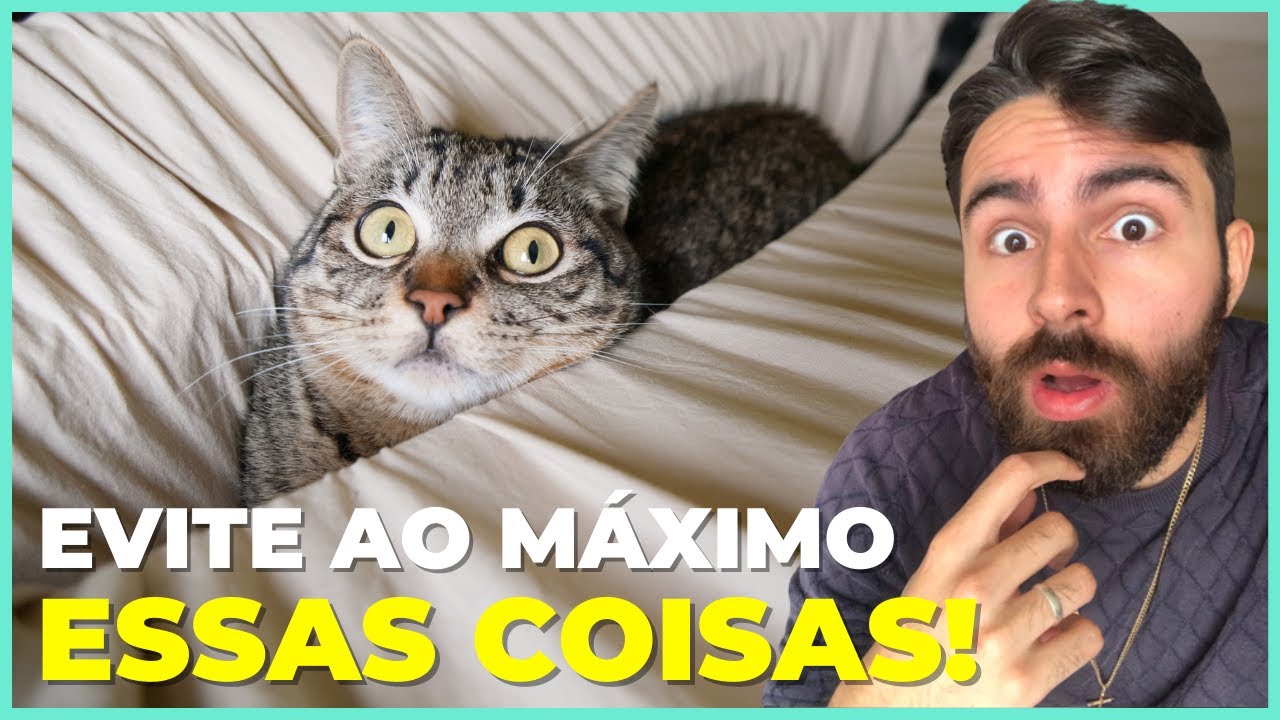 12 Coisas Que Os Gatos MAIS ODEIAM!