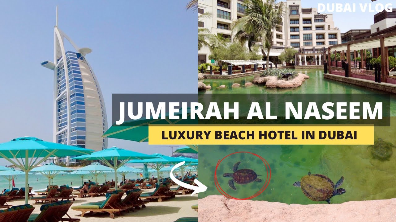 LUXURY Beach HOTEL in Jumeirah Dubai!! Al Naseem Turtle Lagoon Weekend Walk | 4K (Walking Tour)