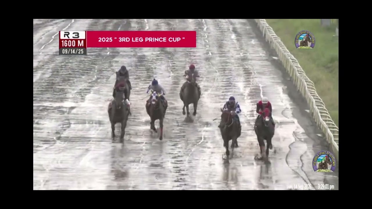 2025 3rd leg prince cup, the undefeated MORALLY ridden by Ma Alvarez at MMTCI 