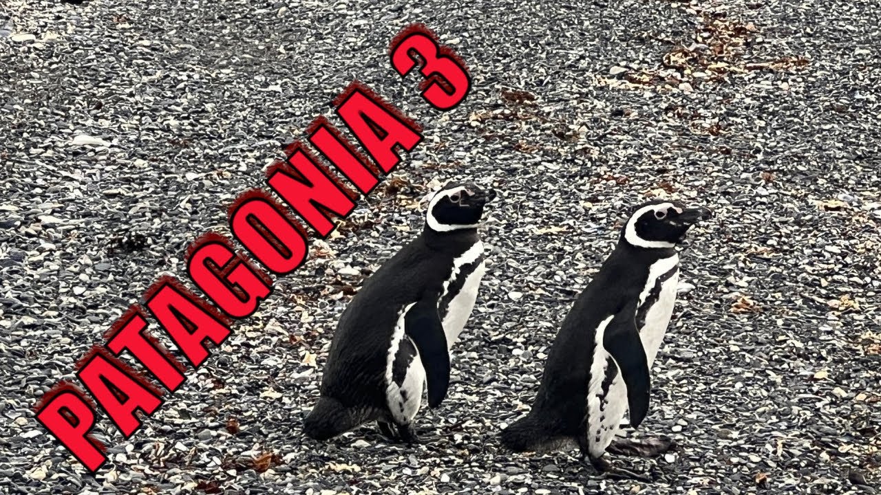 Patagonia na własną rękę. Część 3
