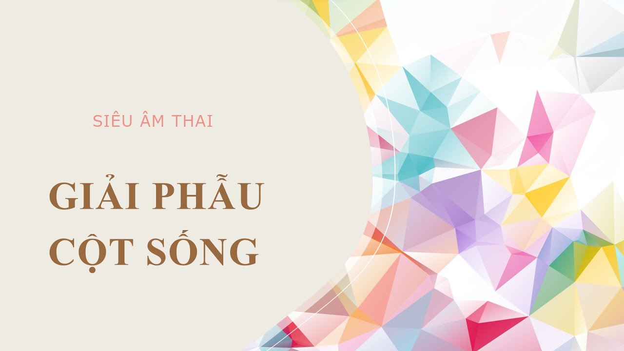Siêu âm thai - Giải Phẫu cột sống và các bất thường hay gặp