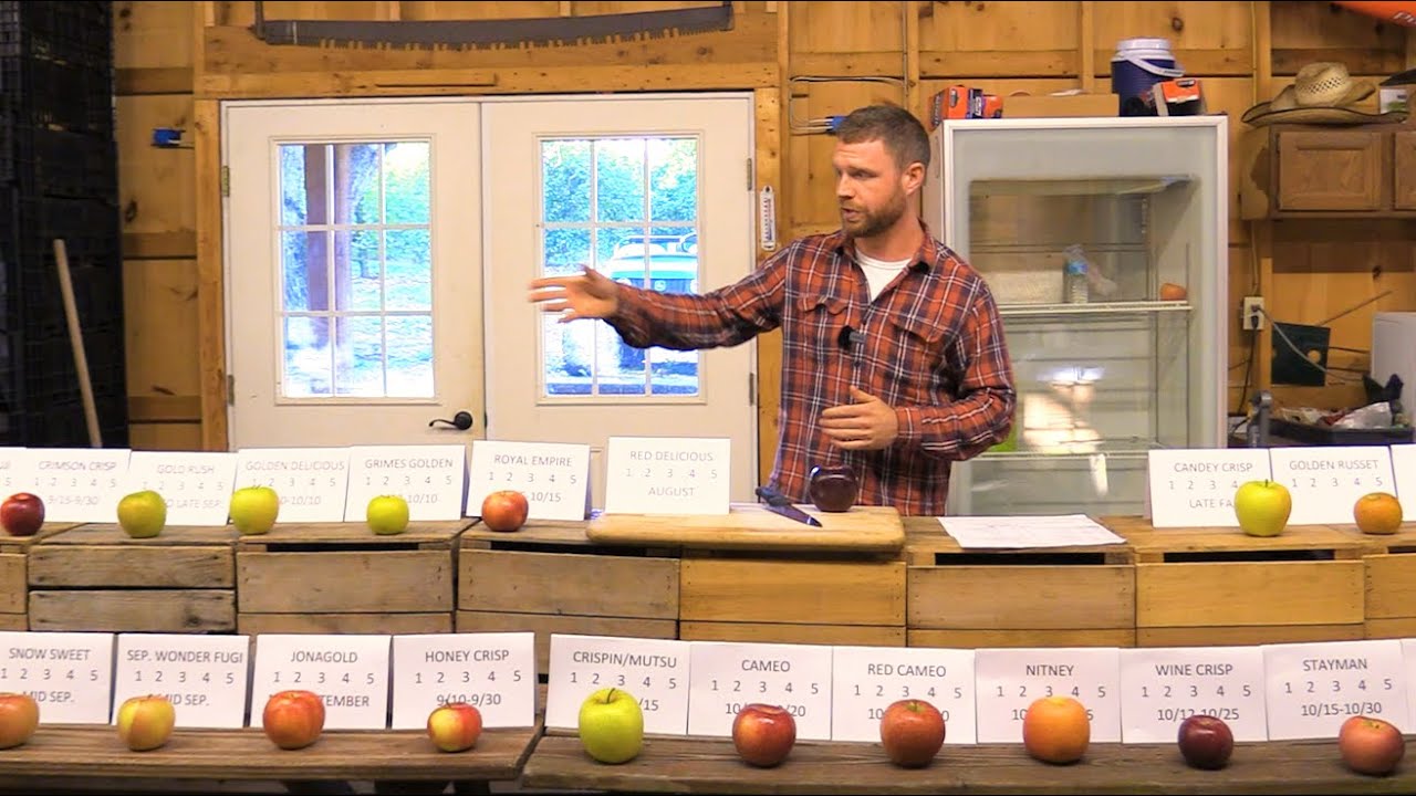 Apple Tasting- 25 Varieties at my Friend's Orchard