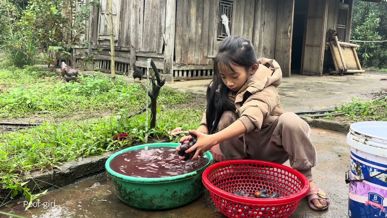 Бедная девочка собирала пальмовые плоды. Перерабатываются в вкусные блюда на продажу