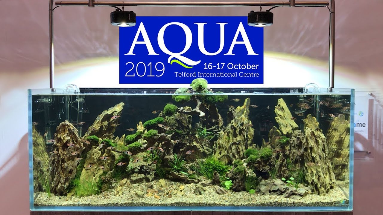 NEW Products and Inspiration at Aqua 2019