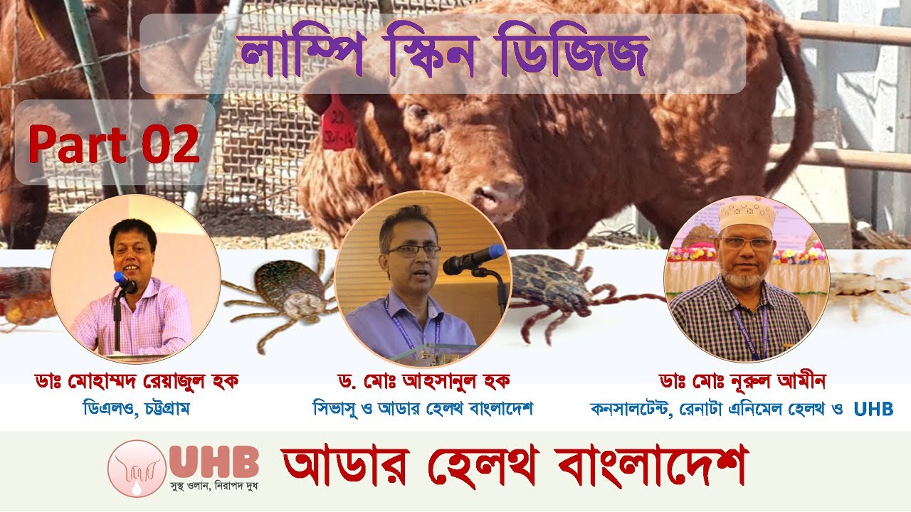 How can you identify Lumpy Skin Disease (LSD) in your cow. (কিভাবে বুঝবেন আপনার গরুর  LSD হয়েছে? )