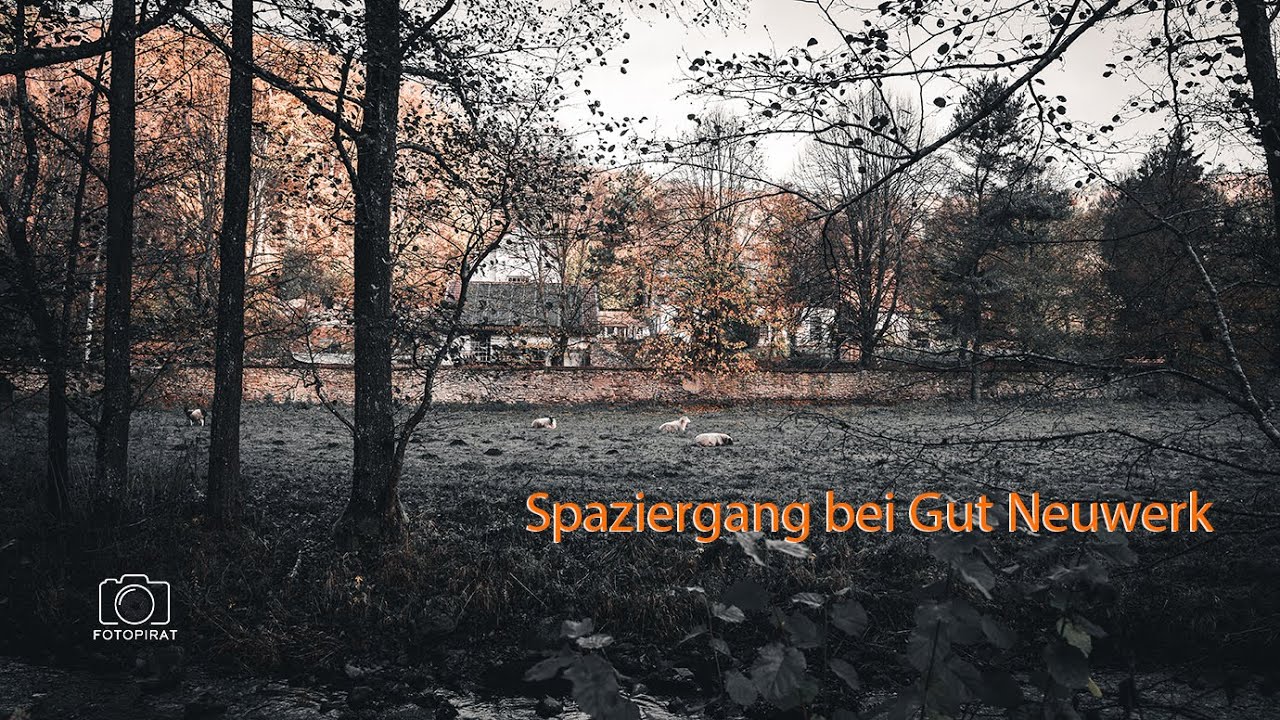 kleine Runde bei Gut Neuwerk in der Nähe von Urft (NRW)