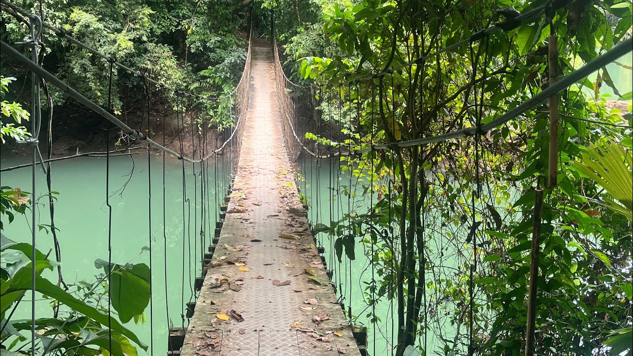 Corcovado - Selva, Humedales y Playas