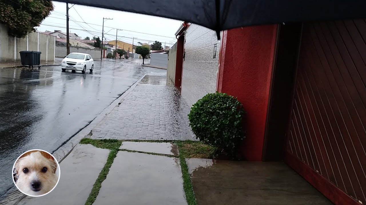 Calm walking on a rainy day - Itu Brazil