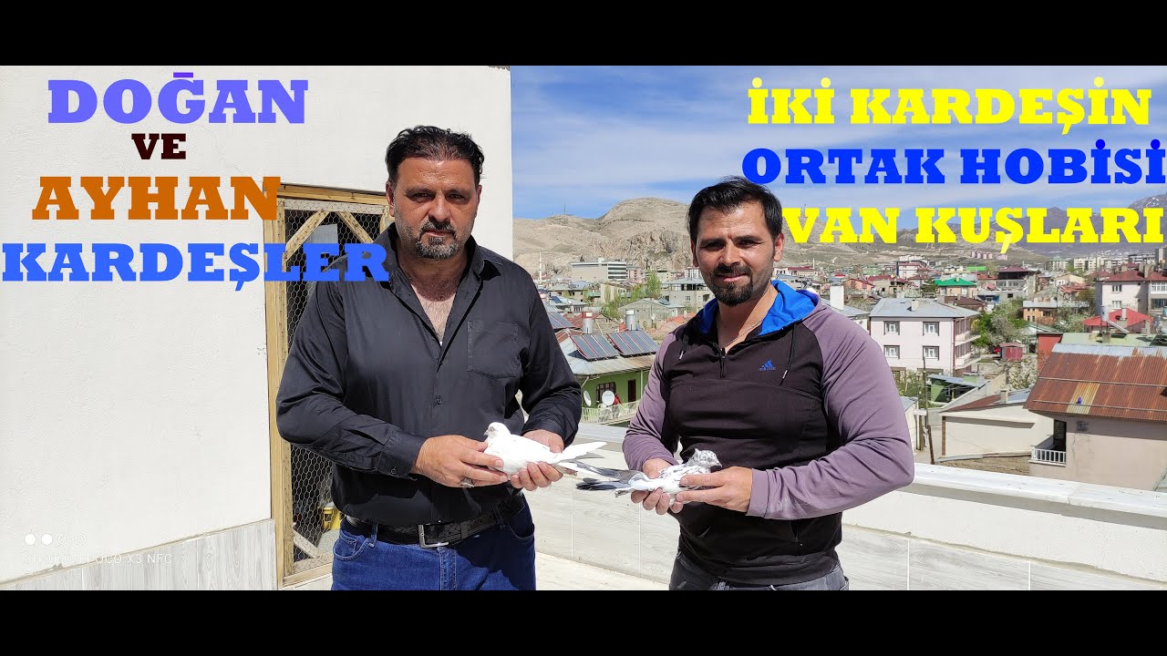 KARDEŞLERİN ORTAK HOBİSİ VAN KUŞLARI(GÜVERCİNLERİ)AYHAN VE DOĞAN ÇELİKTAŞ KARDEŞLERE KÜMES ZİYARETİ