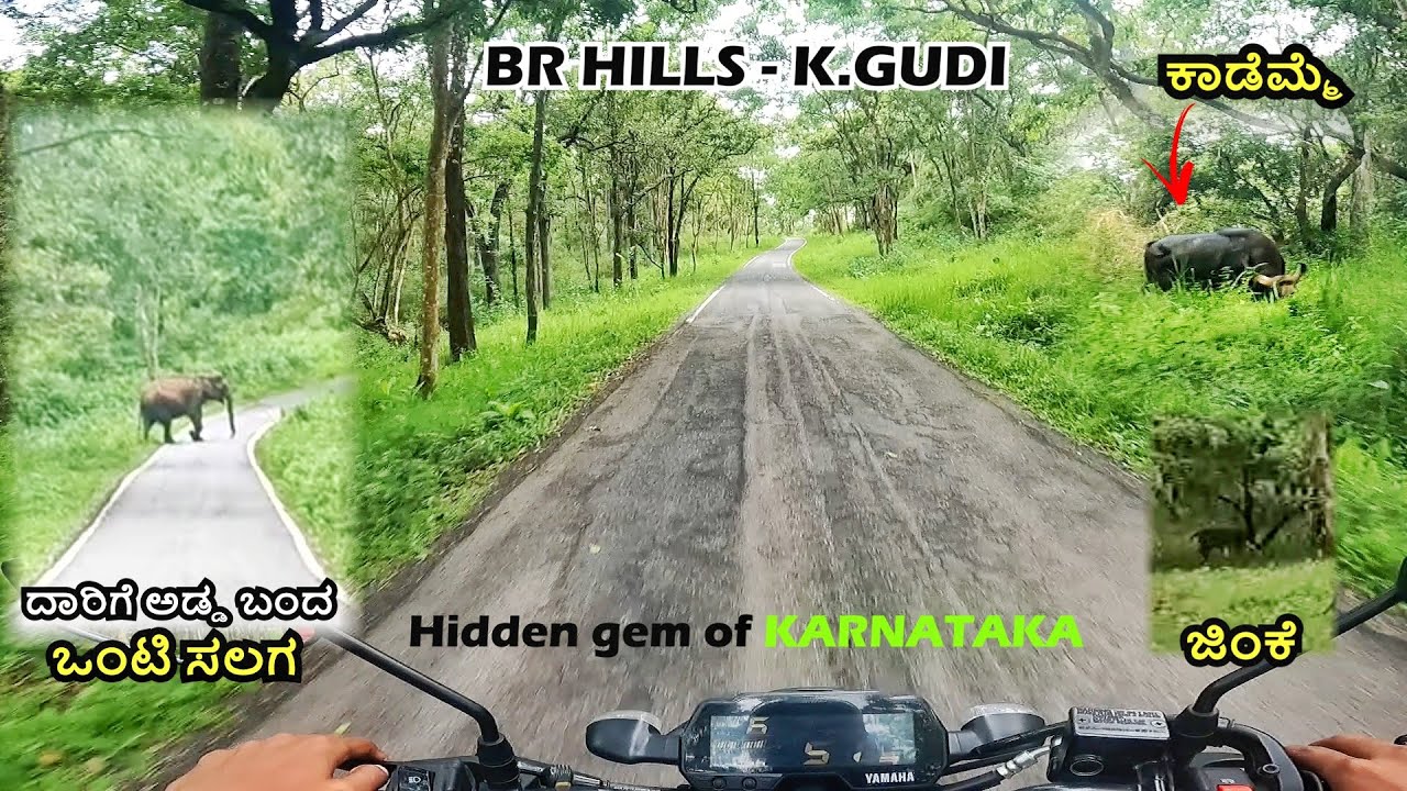 BR Hills to K Gudi | Elephant🐘 sighting | hidden gem of karnataka | Bike safari😉 #brhills