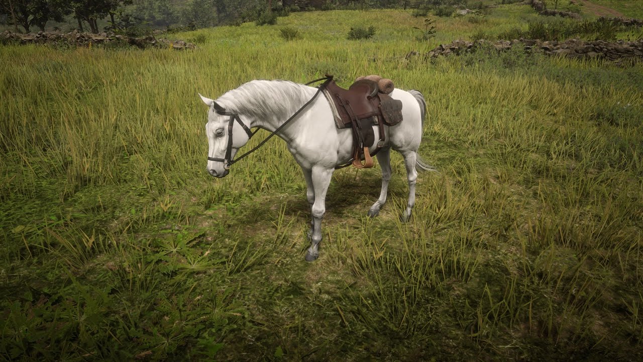 How To Get A Male White Arabian (Or Turn Any Other Horse Into A Male) In Any Chapter