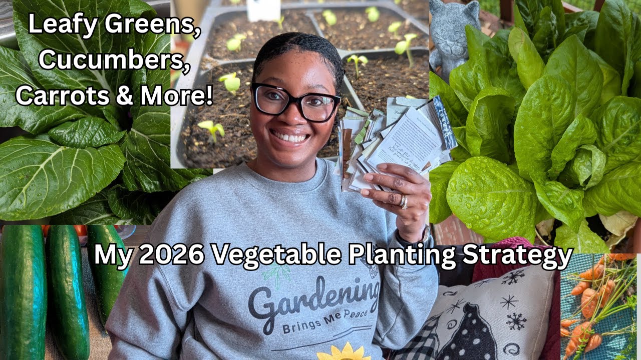 2026 Must Grow Vegetables | What I'm Growing for a Massive Spring & Summer Harvest | Garden Planning