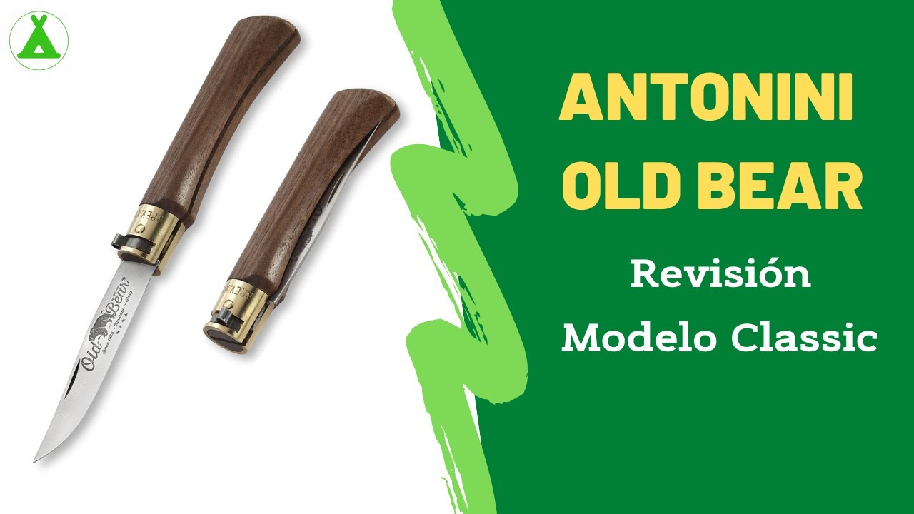 👶 𝐀𝐍𝐓𝐎𝐍𝐈𝐍𝐈 𝐎𝐋𝐃 𝐁𝐄𝐀𝐑 🐻 La historia de un clásico de la cuchillería 🔪 Made in Italy 🇮🇹