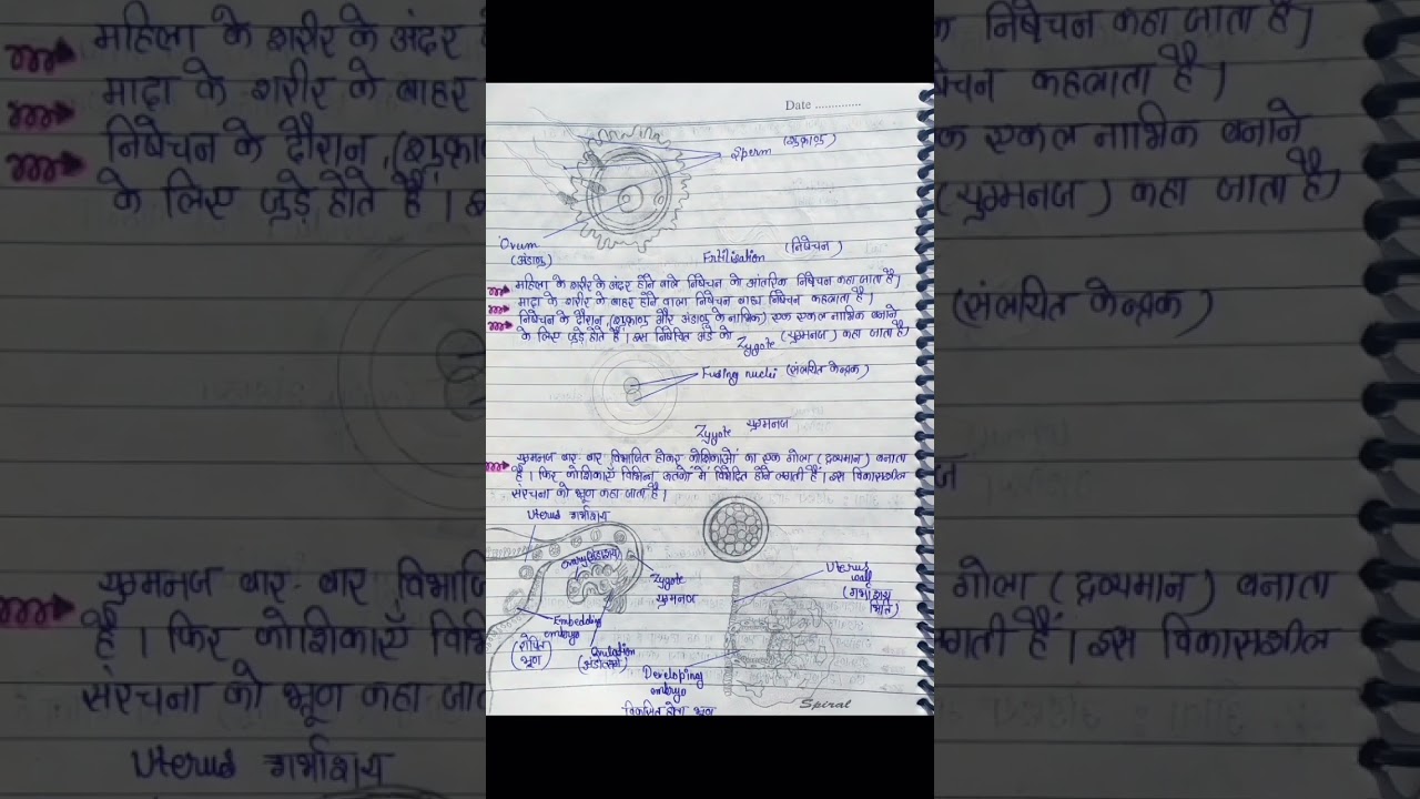Class 8 science chapter 6 Notes जंतुओं में जनन #class8 #notes #NCERT #hindimedium #science #study
