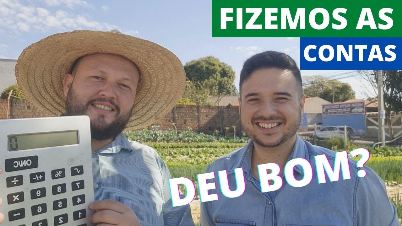 Por que plantar folhosas em horta urbana?