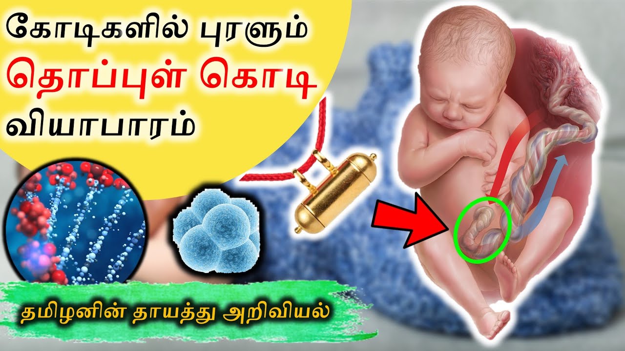 Stem Cell Storage Good or Bad? | SangathamizhanTV | Tamil
