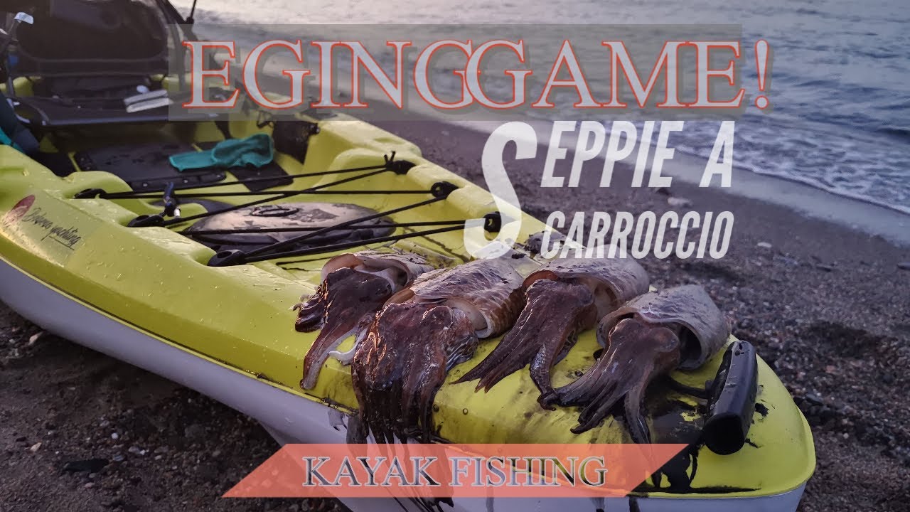 SEPPIE A SCARROCCIO prima uscita con SEPPIE GROSSE! - KAYAK FISHING - egi yamashita