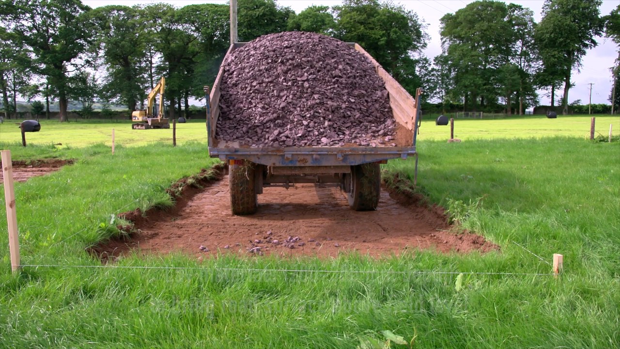 Layout and Infrastructure on Dairy Farms