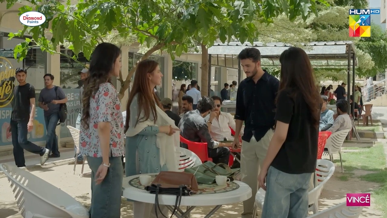 Direct Shadi Karna Chahta Hun...! #dananeermubeen #hurmat #shahveerjaffery #humtv