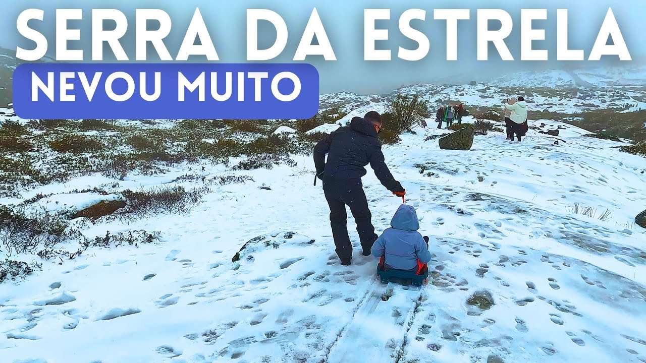 Serra da Estrela 2024 | Nevou muito #neveemportugal #serradaestrela