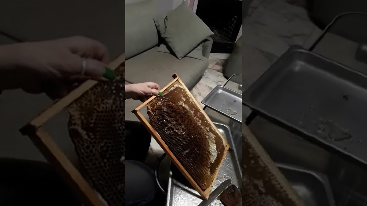 ՔԱՄՈՒՄ ԵՆՔ ԱՐԴԱՐ ՄԵՂՐ,ГОНЯЕМ ЧИСТЫЙ МЁД