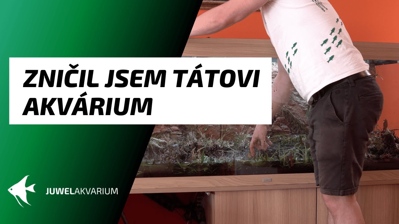 Zničil jsem tátovi akvárium / Rekonstrukce akvária Juwel Rio 450