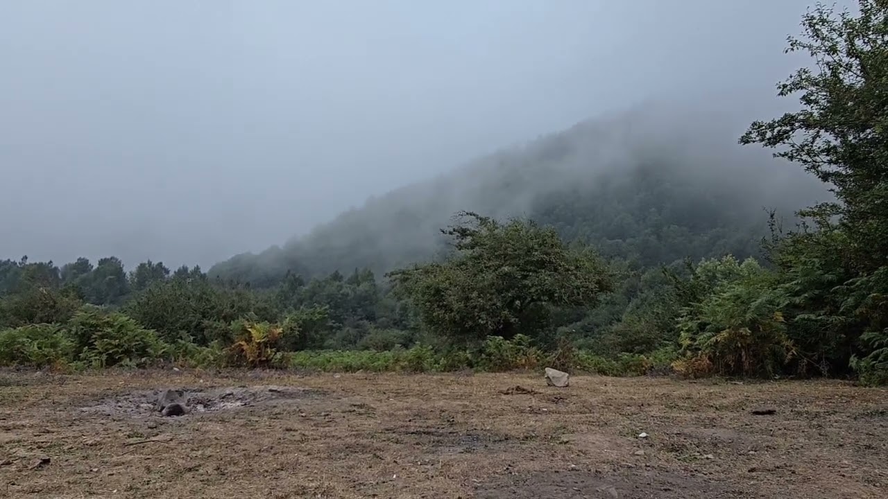 #javaherdeh #iran #nature #travel #naturesounds #mazandaran #lushgreenery 