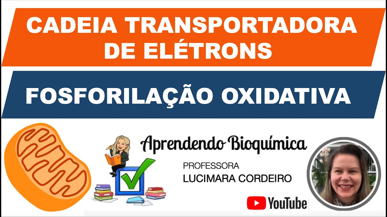 BIOQUÍMICA | Cadeia transportadora de elétrons e fosforilação oxidativa