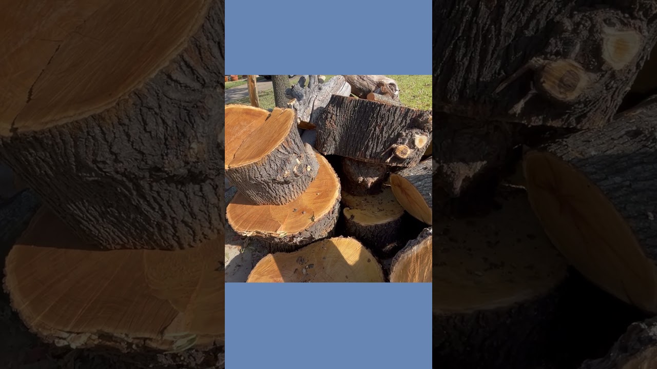 What is the best way to haul away big tree debris piles?