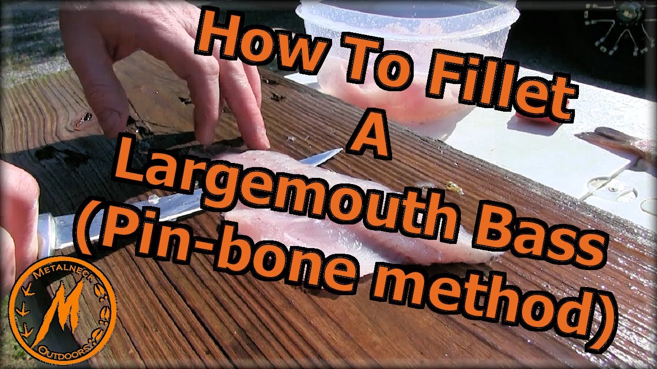 How to Fillet a Largemouth Bass using the Pin-bone Method