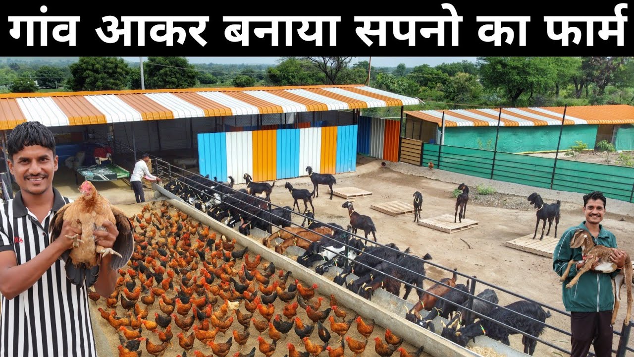 शहर की जिंदगी छोड़ 2 भाई ने गांव आकर बनाया Goat & Poultry Farm | Goat Farming & Poultry Farming