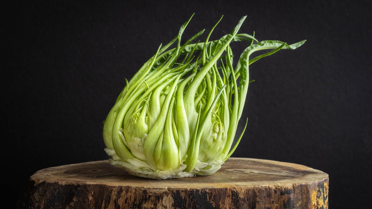 Puntarelle alla Romana