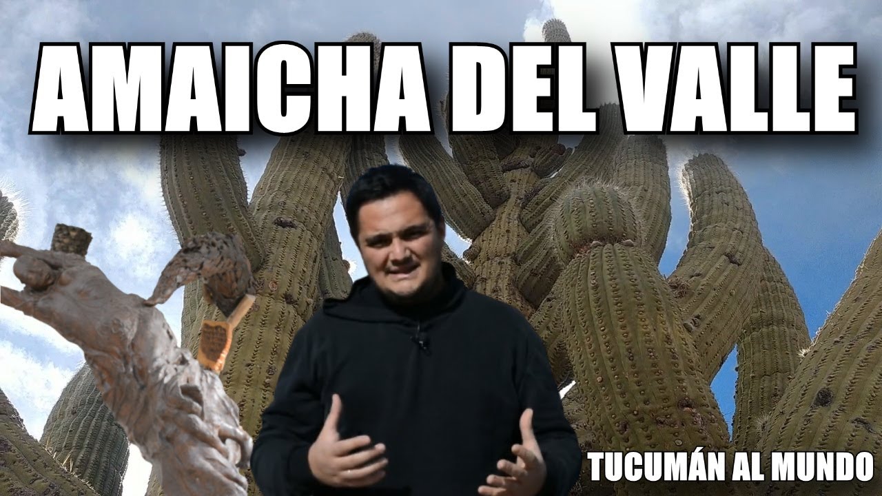 🌵Descubrí AMAICHA del Valle🌵 - valles Calchaquíes Provincia de Tucuman🌳🌳
