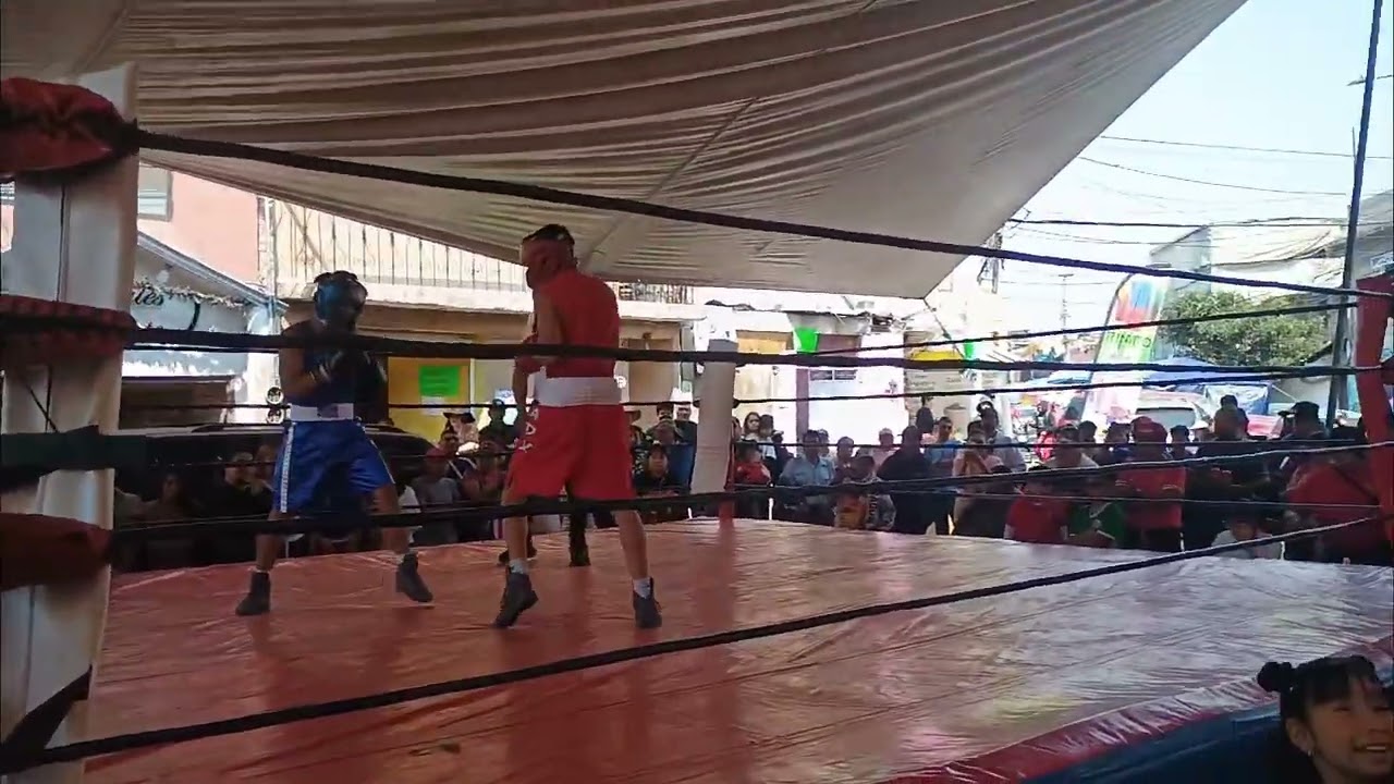 Rabit gana pelea de Xaltocan 