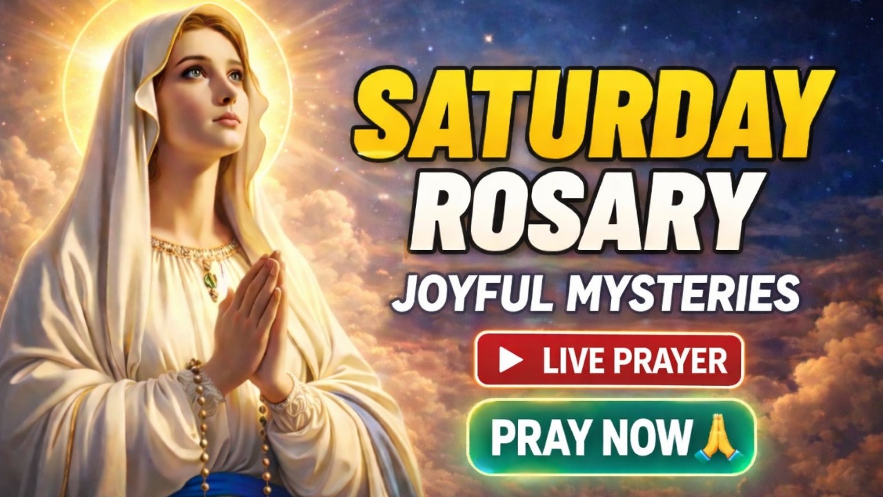 Pray the Rosary Saturday 🌹 Joyful Mysteries | Daily Prayer Together